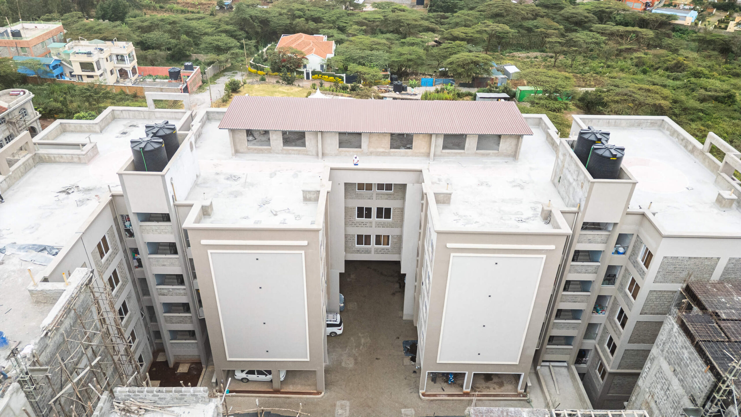 Palms site update 10th July_10.JPG